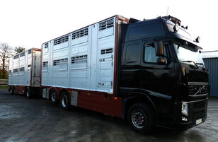 VOLVO FH 540 + العربات المقطورة شاحنة نقل المواشي