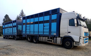 شاحنة نقل المواشي VOLVO FH 540 for cattle transport + العربات المقطورة شاحنة نقل المواشي